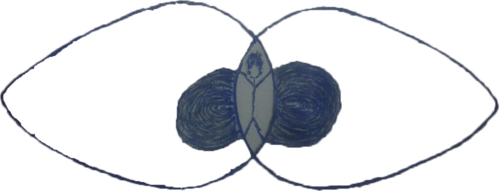 Double Consciousness and the So-Called ‘White&nbsp;Standard’