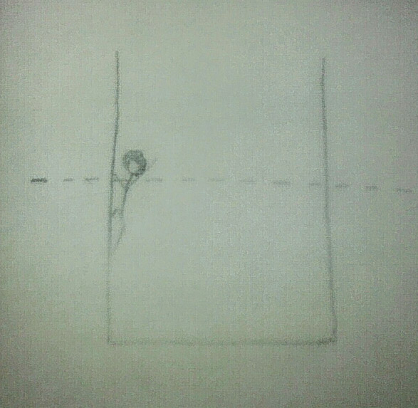 The White Ruling Class & The Rising Under&nbsp;Class