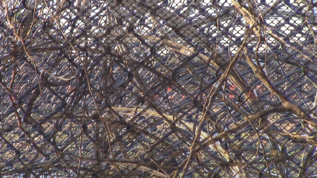 Arizona Prisons: A De Facto Death&nbsp;Sentence